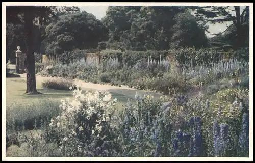 Postcard Cambridge CAMBRIDGE COTTAGE GARDEN 1920