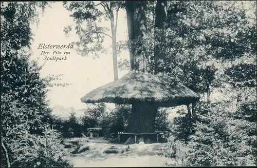 Ansichtskarte Elsterwerda Wikow Partie am Pilz im Stadtpark 1909