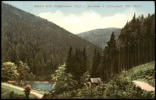 Stützerbach Schorte beim Knöpfelstaler Teich a. Auerhahn b. Stützerbach  1911