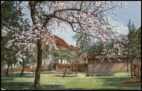 Ansichtskarte  Stimmungsbild: Gehöft Frühlingsblüte Photochromie 1910