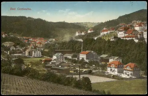 Bad Gottleuba-Berggießhübel Panorama mit Fabrik 1919