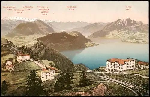 Küssnacht am Rigi Rigi Staffel Panorama See und Alpen Blick 1910