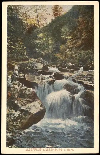 Ilsenburg (Harz) Ilsefälle im Ilsetal, Wasserfall Waterfalls 1910