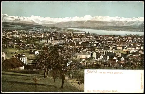 Ansichtskarte Zürich vom Wald gesehen 1911