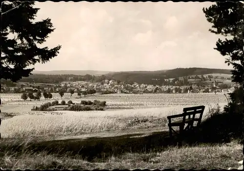 Ansichtskarte Tambach-Dietharz Totale vom Waldesrand Bank 1962