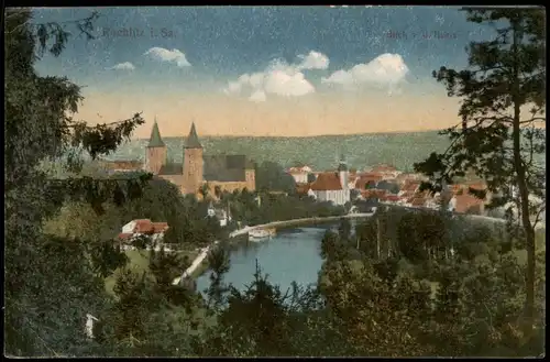 Ansichtskarte Rochlitz Panorama-Ansicht Ortsansicht 1924