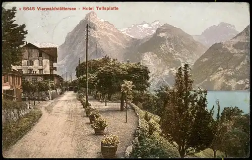 Ansichtskarte Luzern Lucerna Vierwaldstättersee - Hotel Tellsplatte 1911