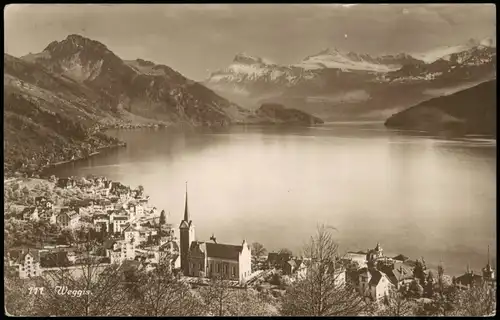 Ansichtskarte Weggis Blick auf Stadt und Alpen, Fotokarte 1916