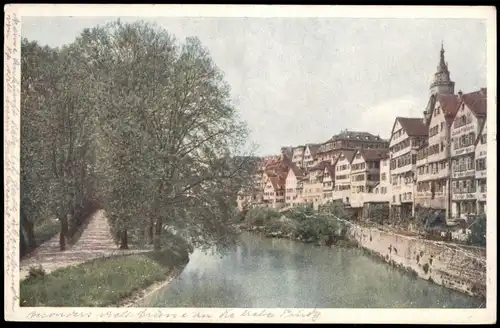Ansichtskarte Tübingen Ortsansicht, Platanenallee 1922