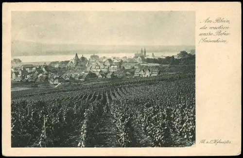 Ansichtskarte Geisenheim Panorama-Ansicht; Ortsansicht Blick Rhein 1922