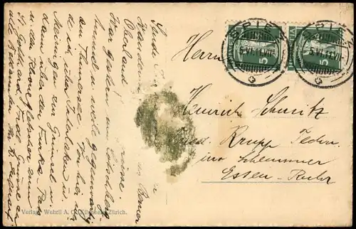 Ansichtskarte Spiez Panorama-Ansicht 1911