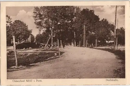 Nest (Pommern) Unieście Dorfstraße, Kühe b. Köslin Koszalin 1922