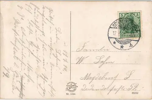 Spindlermühle Špindlerův Mlýn | Peterbaude Kühe 1914  gel. Stempel Schreiberhau