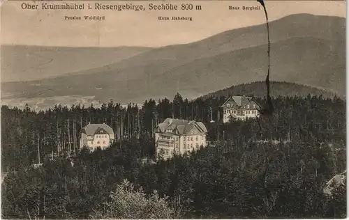 Postcard Krummhübel Karpacz Pension Waldidyll, Haus Habsburg 1919