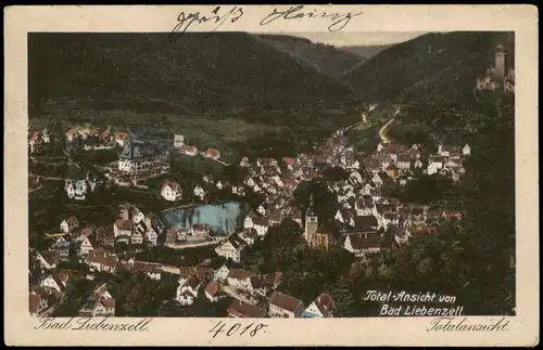 Ansichtskarte Bad Liebenzell Blick über die Stadt 1924