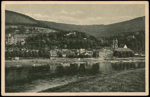 Ansichtskarte Miltenberg (Main) Panorama-Ansicht Partie am Main 1929
