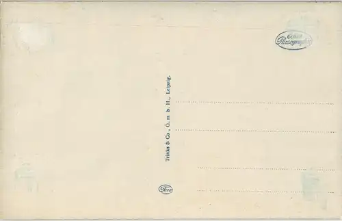 Ansichtskarte Bonn Partie im Botanischen Garten Schloß Poppelsdorf 1920