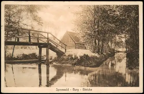 Ansichtskarte Burg (Spreewald) Spreewald - Burg - Bleiche 1920