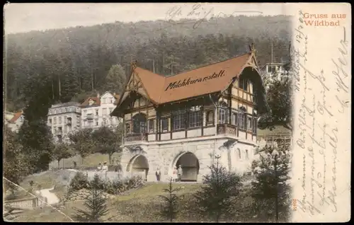 Ansichtskarte Bad Wildbad Partie a.d. Milchkuranstalt 1904  (Ankunftsstempel)