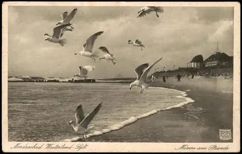 Ansichtskarte Westerland-Sylt Strand Möwen im Flug 1940