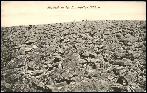 Ansichtskarte Finsterau Steinfeld an der Lusenspitze 1372 m 1913