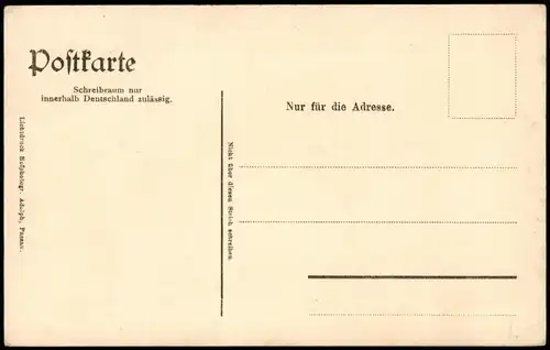 Ansichtskarte Finsterau Steinfeld an der Lusenspitze 1372 m 1913