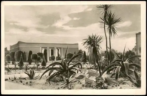 Essen Ruhr Große Ruhrländische Gartenbau-Ausstellung Subtropischer Garten 1929