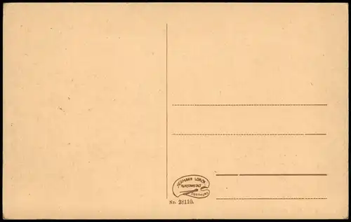 Ansichtskarte Bodenwerder-Polle Schiffe/Schifffahrt - Dampfer - Stadt 1923