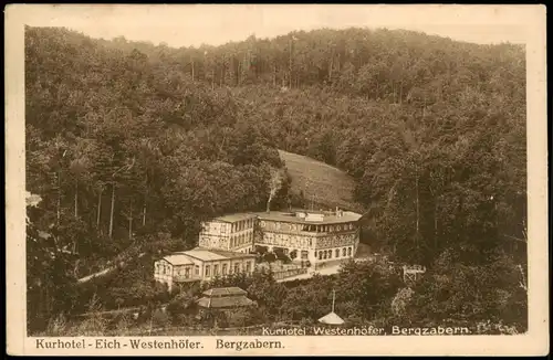 Ansichtskarte Bergzabern Kurhotel Eich Westenhöfer 1925