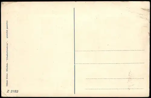 Cartoline Meran Merano Panorama-Ansicht Blick gegen Ifinger 1910