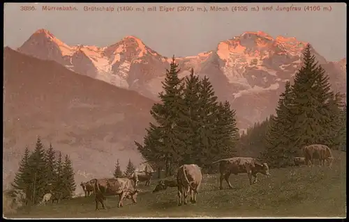 Mürren Mürrenbahn Grütschalp mit Eiger, Mörch und Jungfrau 1910