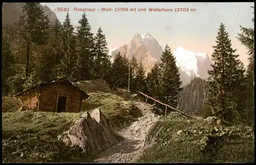 Grindelwald Rosenlaui - Weli (3196 m) und Wetterhorn (3703 m) 1910