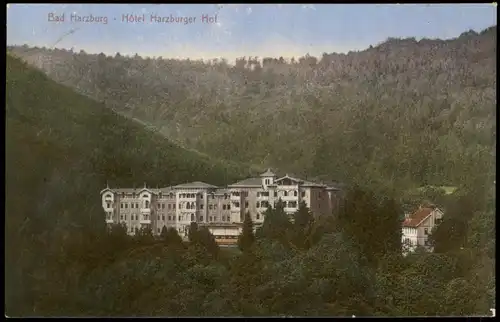 Ansichtskarte Bad Harzburg Partie am Hôtel Harzburger Hof 1918