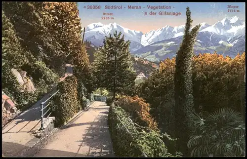 Cartoline Meran Merano Südtirol Meran Vegetation in der Gilfanlage 1910