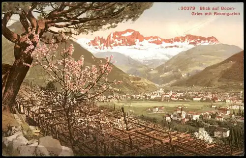Cartoline Gries-Bozen Bolzano Panorama-Ansicht, Rosengarten 1912