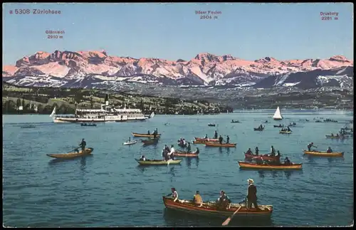Ansichtskarte Zürich Zürisee Zürichsee Versammlung von Ruderbooten 1910