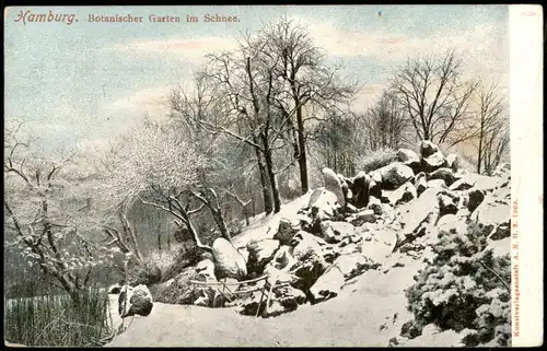 Ansichtskarte Hamburg Botanischer Garten im Schnee 1913