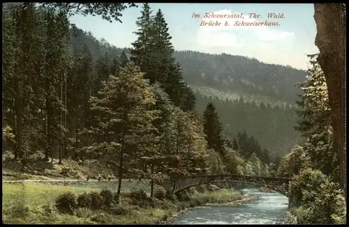 Tabarz Thüringer Wald Schwarzatal, Thüringer Wald, Brücke b. Schweizerhaus 1910