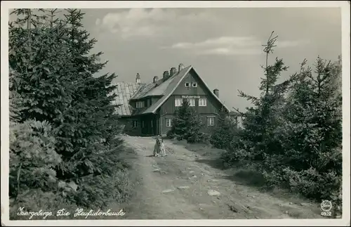 Bad Flinsberg Świeradów-Zdrój Partie an der Heufuderbaude 1937/1940