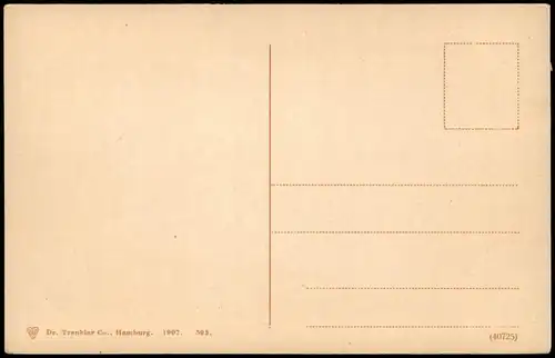 Ansichtskarte Hamburg Hafen bei Baumwall, Dampfer 1907