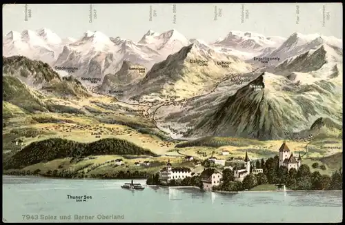 Ansichtskarte Spiez Panorama Spiez und Berner Oberland 1910