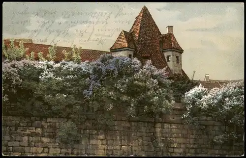Ansichtskarte  Stimmungsbild: Blühende Stadtmauer 1908