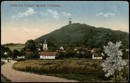 Ansichtskarte Collm-Wermsdorf Ortspartie am Collmberg 1921