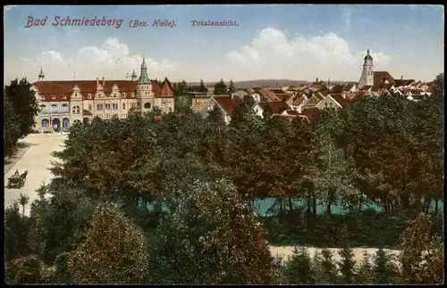 Ansichtskarte Bad Schmiedeberg Panorama Totalansicht 1917