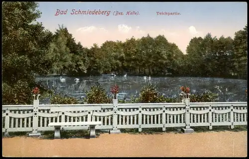 Ansichtskarte Bad Schmiedeberg Teichpartie 1910
