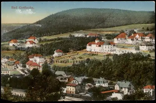Bad Gottleuba-Bad Gottleuba-Berggießhübel Panorama-Ansicht 1917