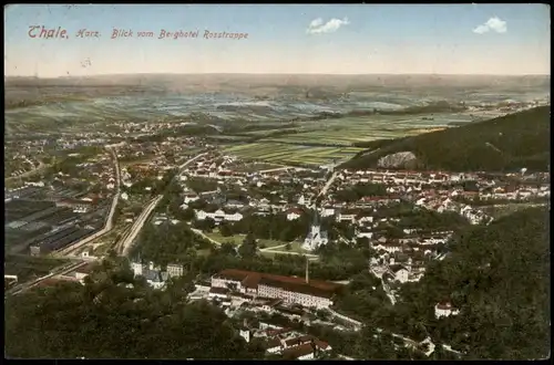 Ansichtskarte Thale (Harz) Blick vom Berghotel auf die Stadt 1913