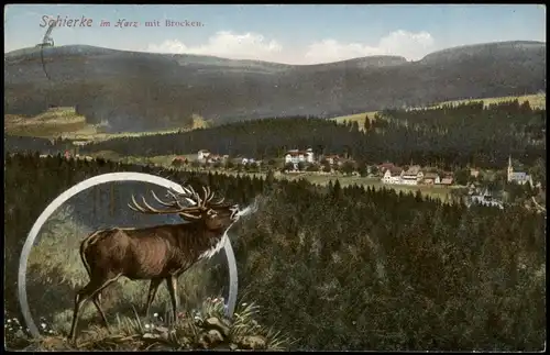 Ansichtskarte Ilsenburg (Harz) 2 Bild: Stadt und Hirsch 1915/1917