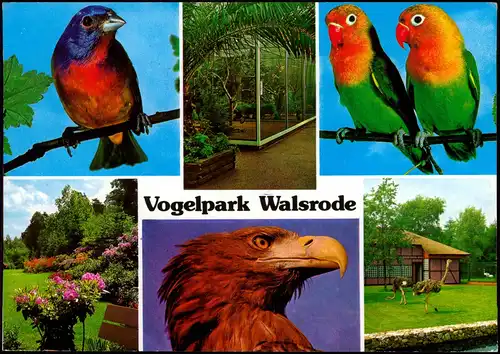 Ansichtskarte Walsrode Vogelpark Mehrbildkarte mit 6 Foto-Ansichten 1996