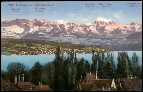 Ansichtskarte Zürich Panorama Zürichsee mit Glärnischkette 1916
